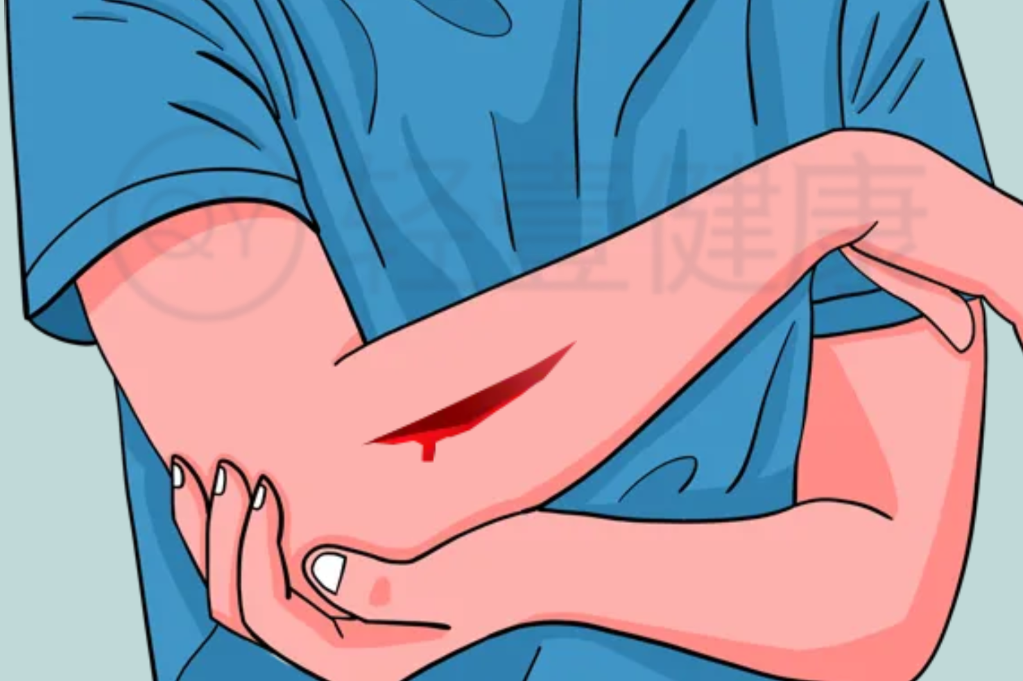  白皮的功效与作用及禁忌有哪些？