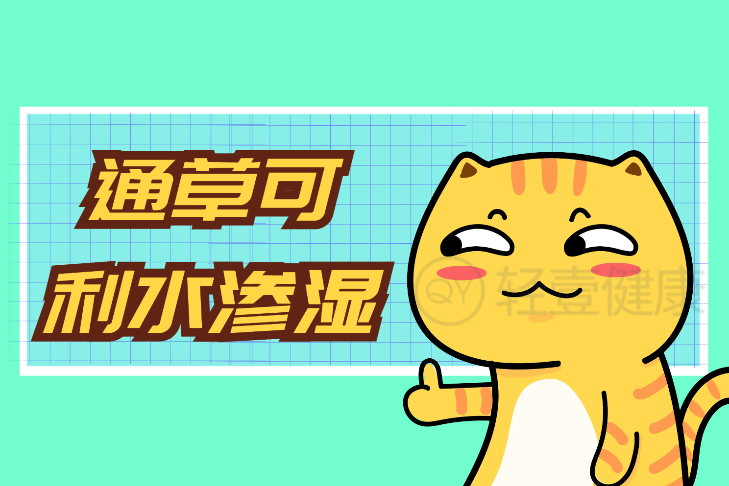  通草的功效与作用及禁忌