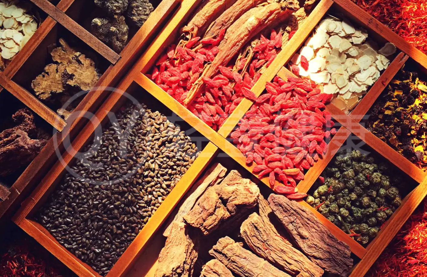  草豆蔻与白豆蔻的区别有哪些？两者有这些不同之处