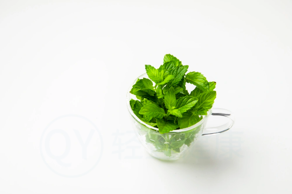 薄荷茶 薄荷茶
