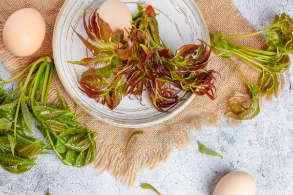  香椿的功效与作用及禁忌有哪些？