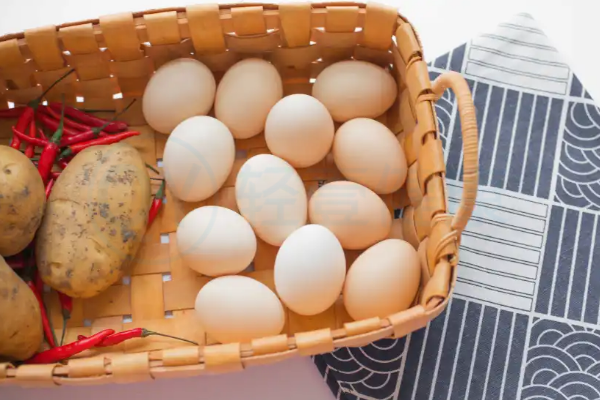 延缓衰老 延缓衰老