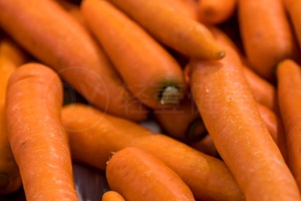 胡萝卜炖牛肉 胡萝卜炖牛肉