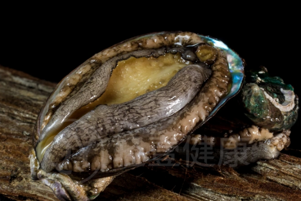 美体养颜 美体养颜