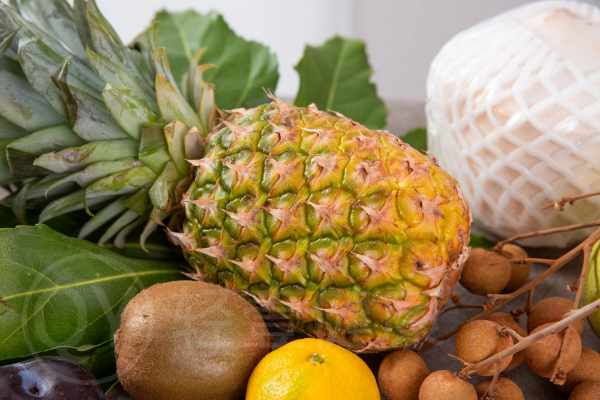 菠萝 菠萝