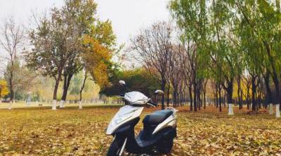 新大洲本田Dio U+， 新大洲本田的外观介绍