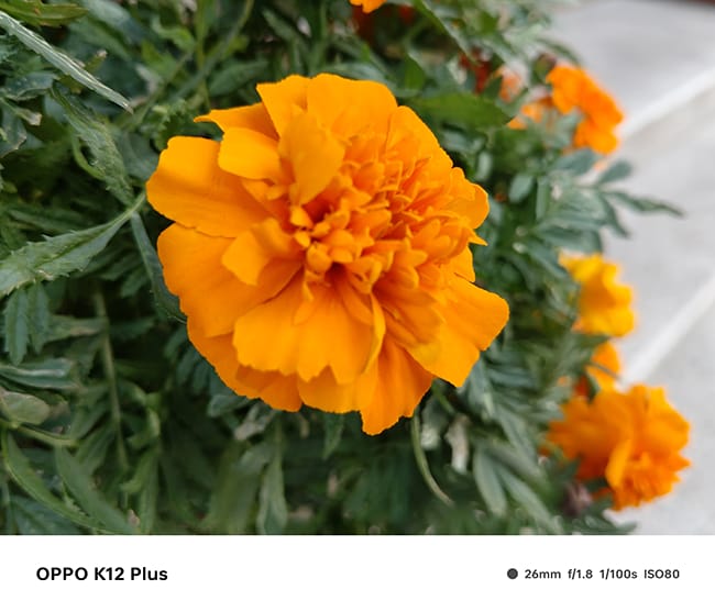 OPPO K12 Plus手机怎么样 OPPO K12 Plus手机评测