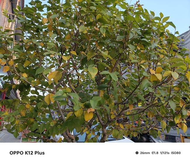 OPPO K12 Plus手机怎么样 OPPO K12 Plus手机评测