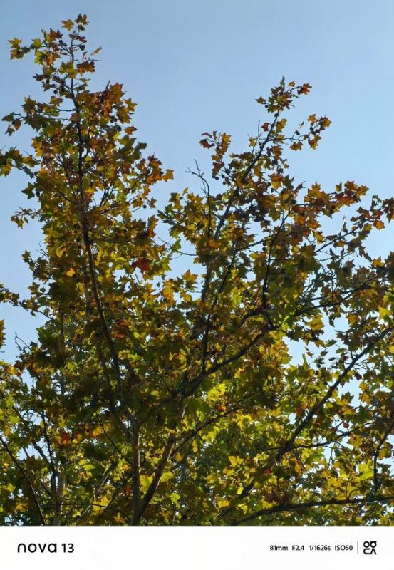 华为 nova13值得买吗？华为 nova13上手体验评测