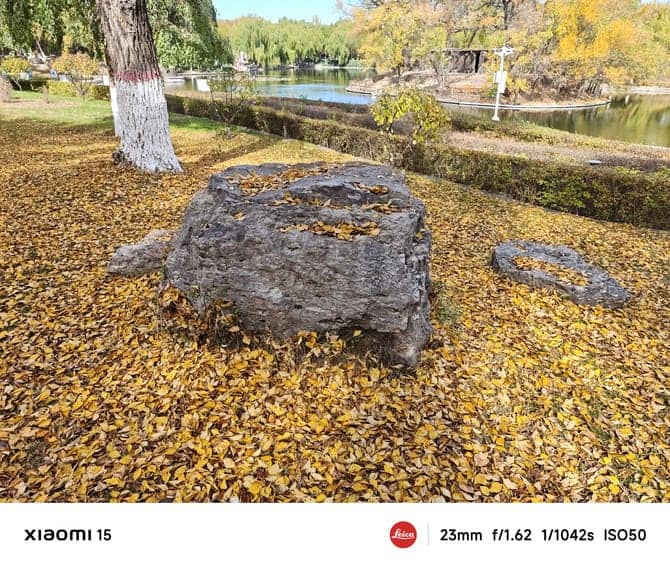 小米15手机值得入手吗 小米15手机详细评测 小米15手机值得入手吗 小米15手机详细评测