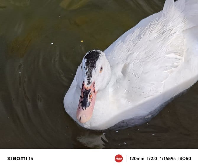 小米15手机值得入手吗 小米15手机详细评测 小米15手机值得入手吗 小米15手机详细评测