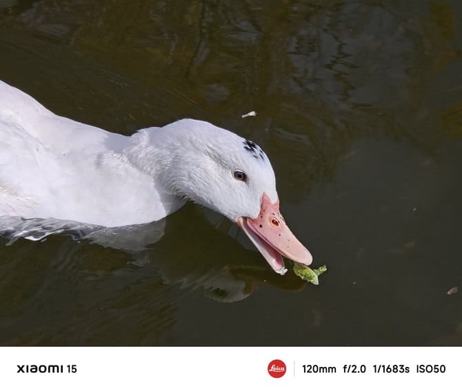 小米15手机值得入手吗 小米15手机详细评测 小米15手机值得入手吗 小米15手机详细评测