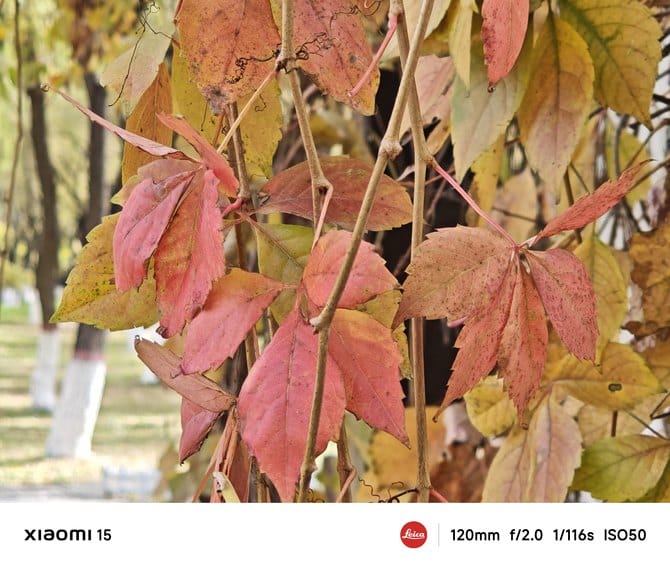 小米15手机值得入手吗 小米15手机详细评测 小米15手机值得入手吗 小米15手机详细评测