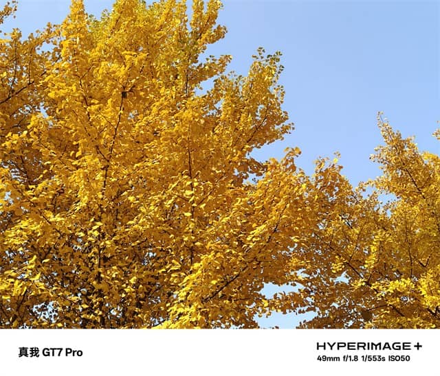 真我GT7 Pro体验怎么样 真我GT7 Pro体验评测 真我GT7 Pro体验怎么样 真我GT7 Pro体验评测