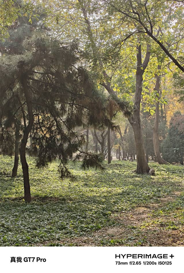 真我GT7 Pro体验怎么样 真我GT7 Pro体验评测 真我GT7 Pro体验怎么样 真我GT7 Pro体验评测