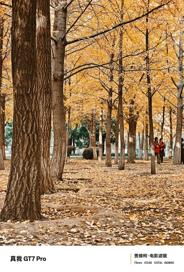 真我GT7 Pro体验怎么样 真我GT7 Pro体验评测 真我GT7 Pro体验怎么样 真我GT7 Pro体验评测