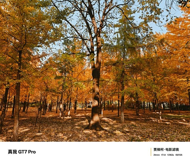 真我GT7 Pro体验怎么样 真我GT7 Pro体验评测 真我GT7 Pro体验怎么样 真我GT7 Pro体验评测