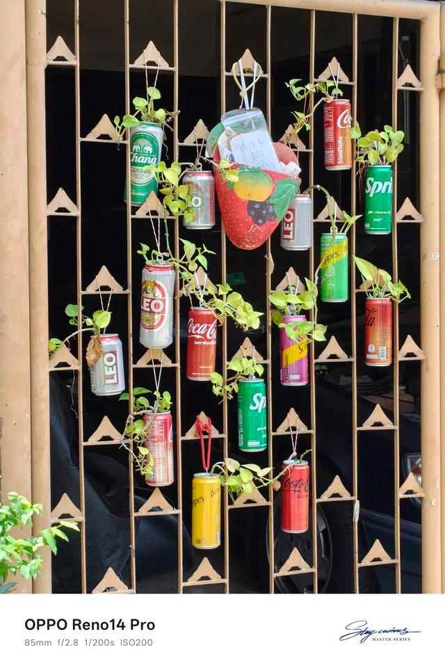 实况照片原来有这些新玩法! OPPO Reno14系列手机影像评测 实况照片原来有这些新玩法! OPPO Reno14系列手机影像评测