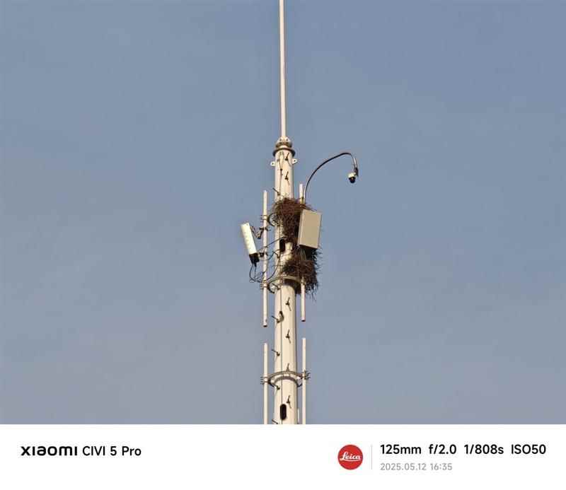 徕卡影像和骁龙8s Gen4可兼得! 小米Civi 5 Pro手机全面评测