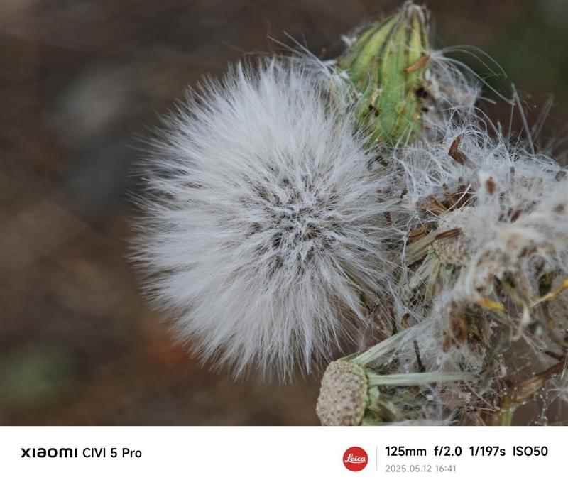 徕卡影像和骁龙8s Gen4可兼得! 小米Civi 5 Pro手机全面评测