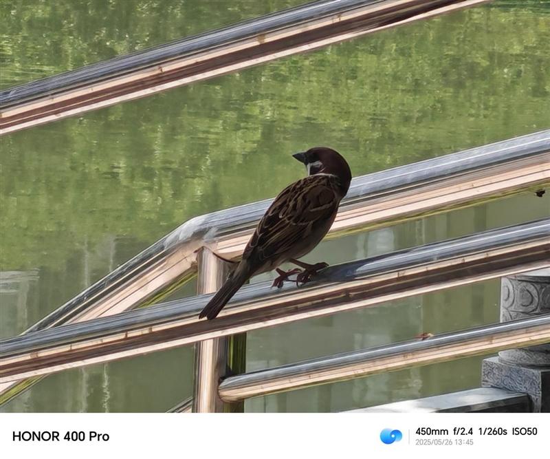 续航佳且手感好的另类AI影像旗舰! 荣耀400 Pro手机全面评测