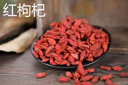 红枸杞 红枸杞