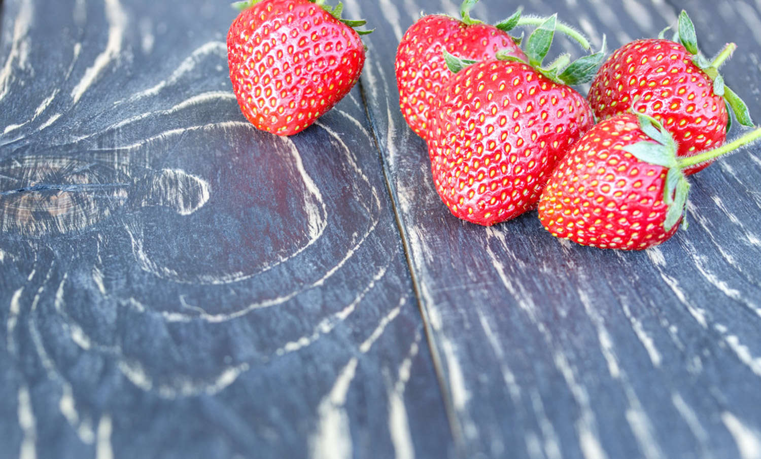 草莓 草莓