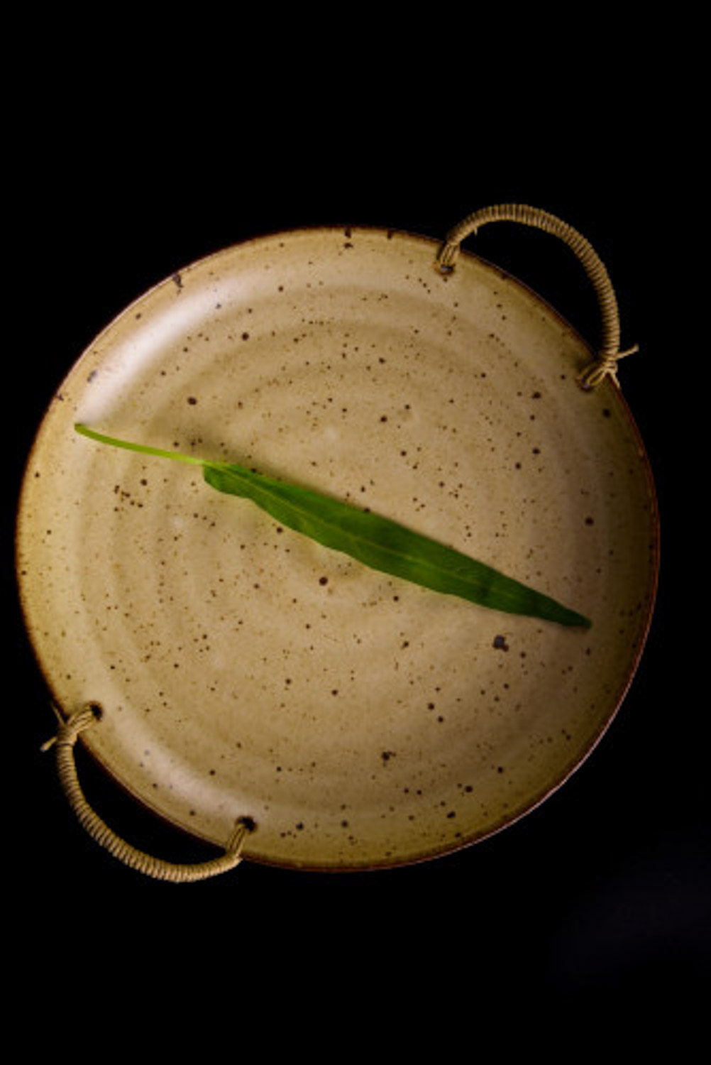 空心菜盆栽扦插图解