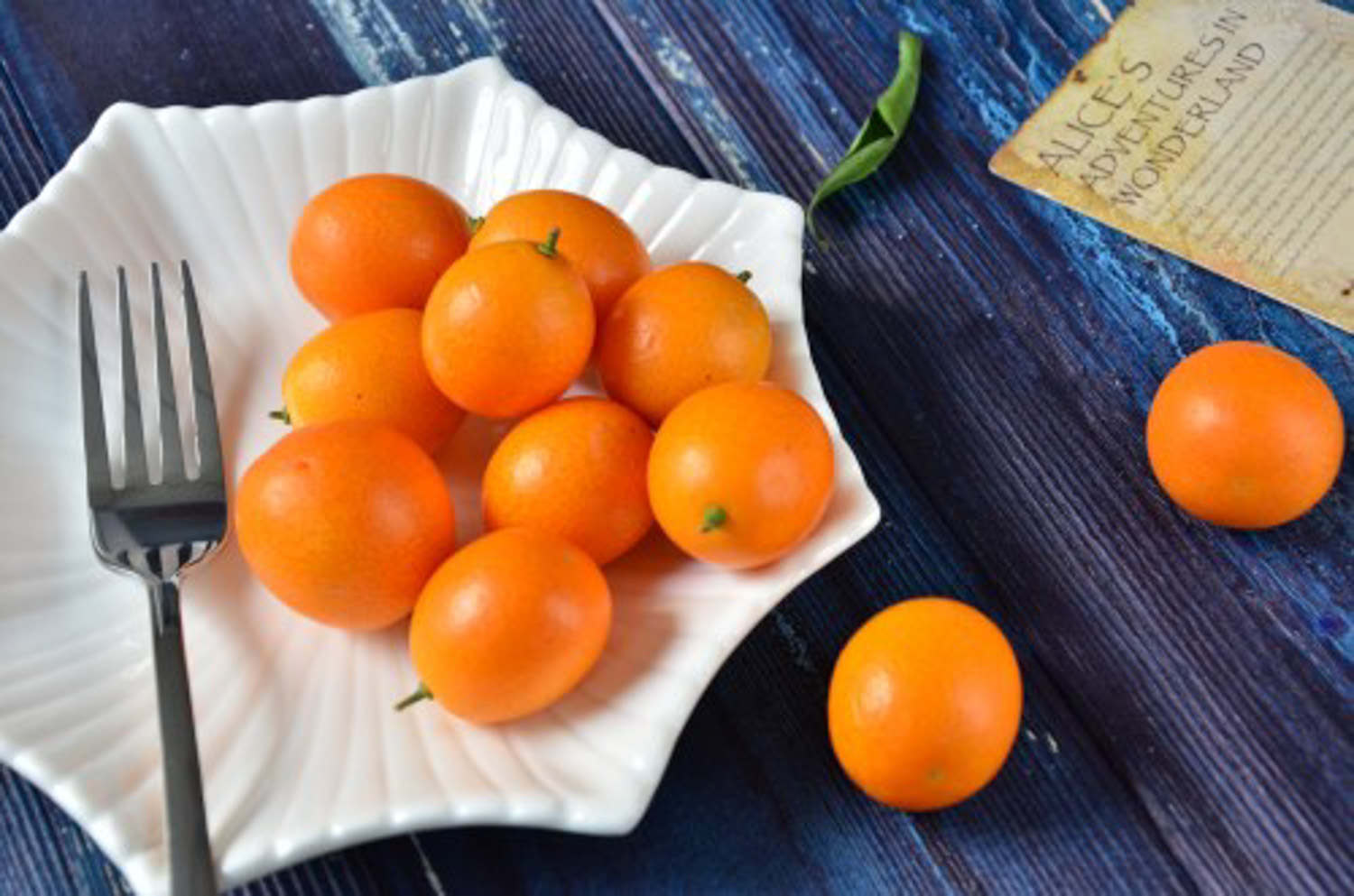 如何制作金桔盆景