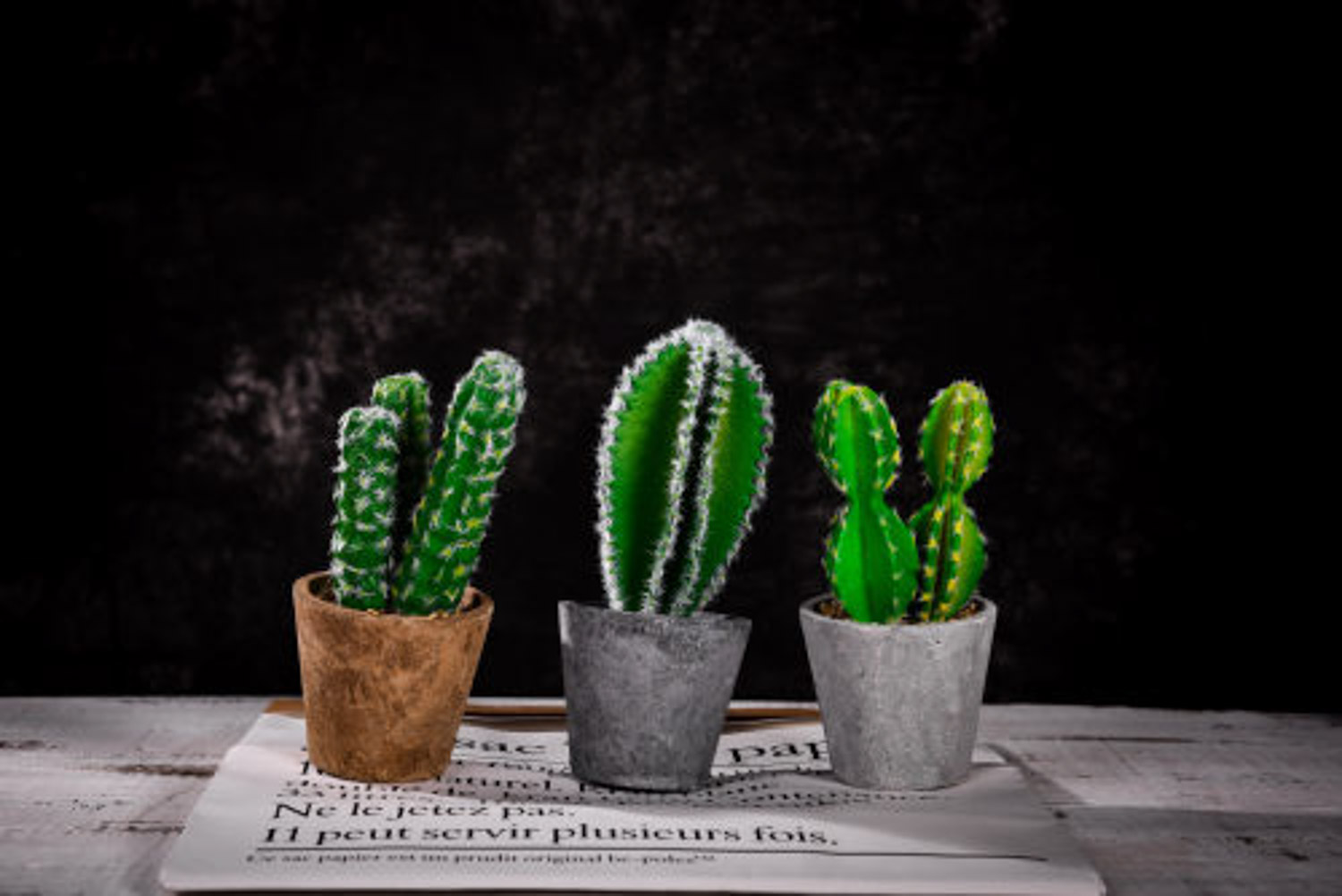 如何延长仙人球的花期