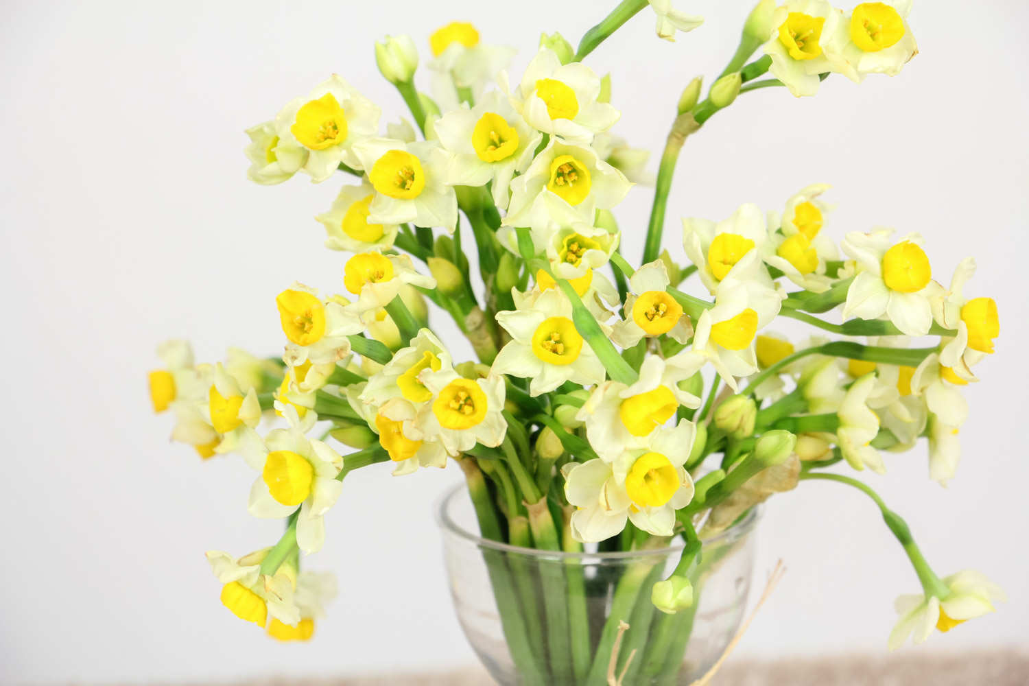 水仙花怎么栽培