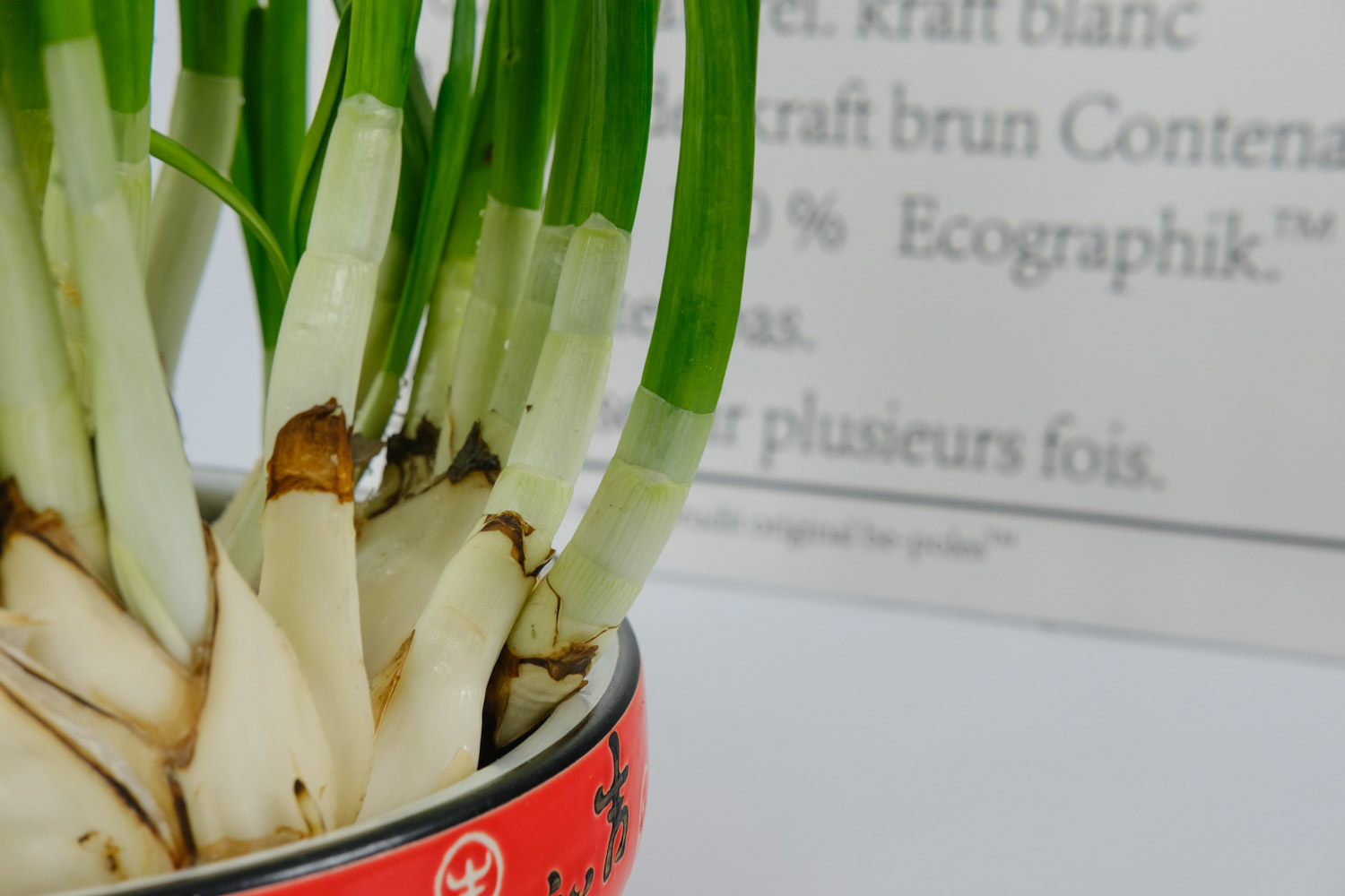 水仙花有哪些种类