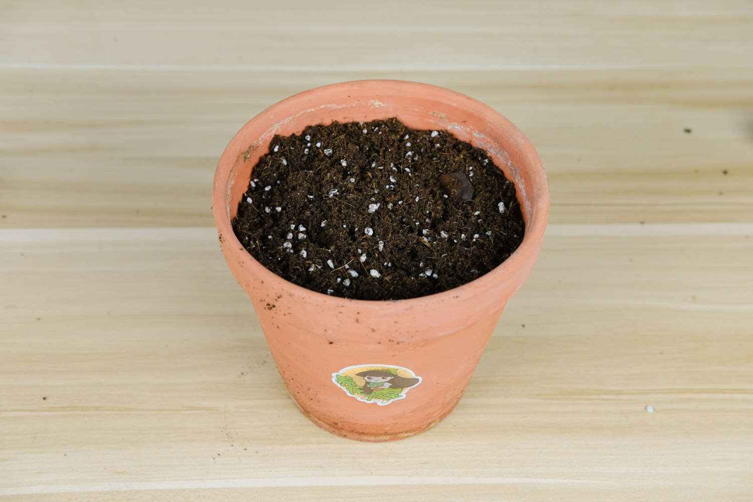 玛格丽特 玛格丽特