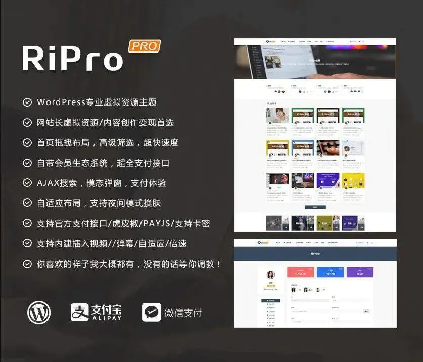 C225 wordpress主题_WordPress主题ripro8.7日主题去除授权版插图